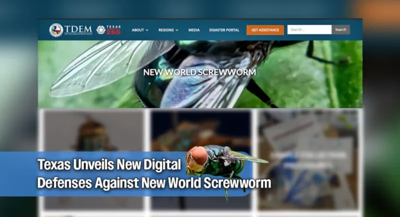 Texas Launches Centralized Hub for New World Screwworm Resources and Updates
