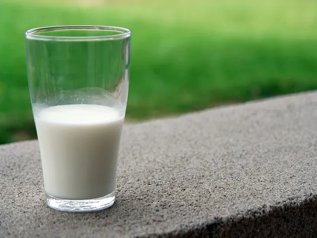 More Milk Production Pressures Lower Dairy Price Outlook