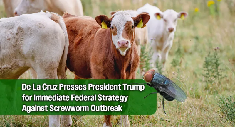 Valley Congresswoman Demands 'Whole-of-Government' Action to Halt Flesh-Eating Screwworm Outbreak