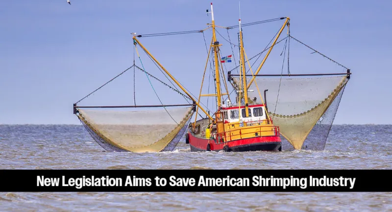 Bipartisan Senate Coalition Introduces Bill to Shield U.S. Shrimpers