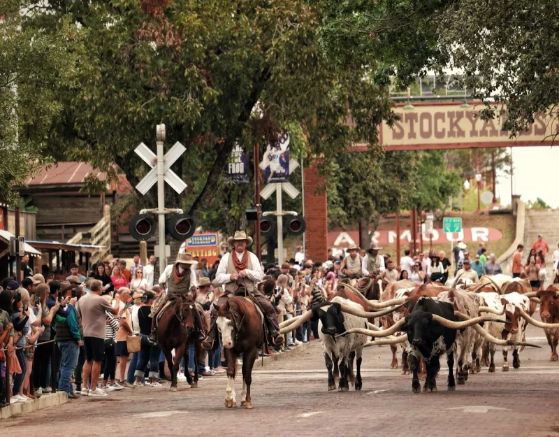 This Texas Road Trip Hits 7 Famous Landmarks