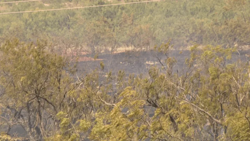 Crews from three agencies battle grass fire near U.S. 277 in Jones County