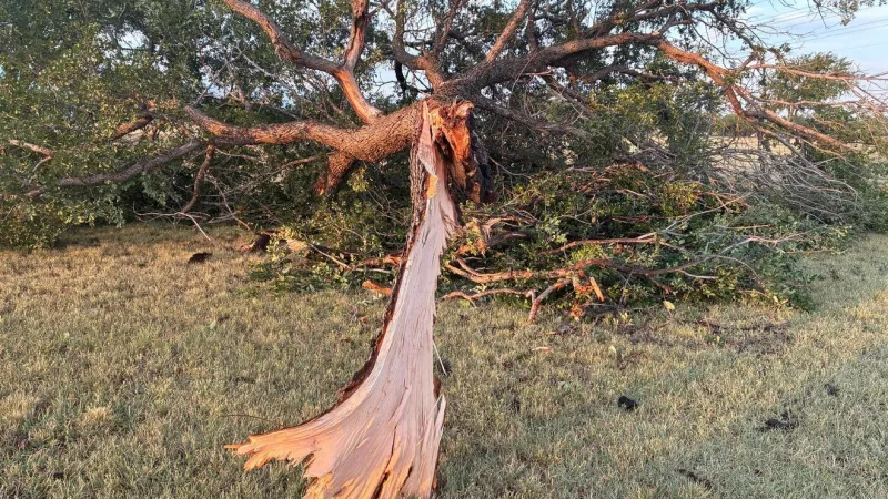 Abilene reminds residents they are responsible for storm debris on private property