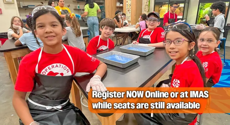 Operation Imagination Summer Camps at IMAS, July 6 -- 24