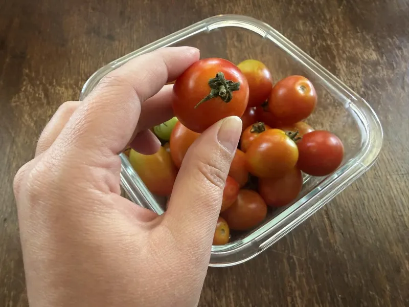 Lawton Tomato Festival Returns For Its 15th Year This Saturday