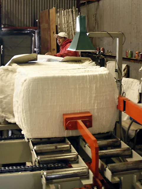 Lawmakers Seek Textile Trade Enforcement To Protect Cotton