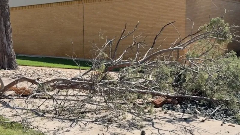 Storm cleanup continues in Abilene after Sunday night damage across the city