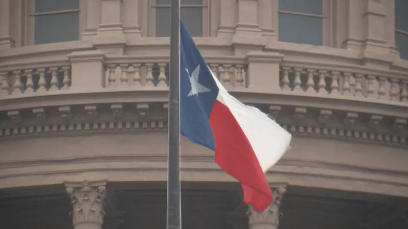 State lawmakers to explore banning foreign nationals from using Texas surrogates