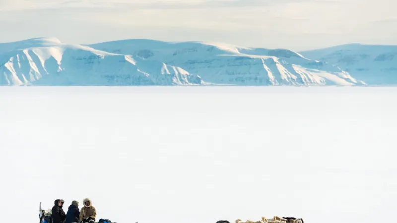 President Trump Renews His Desire for America to Control Greenland