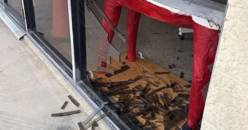 Investigators determine recent damage to Comal County Democratic office was not politically motivated