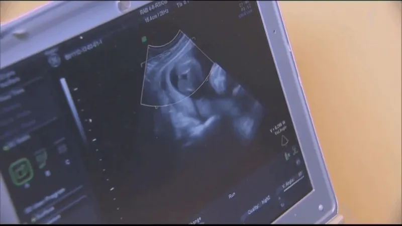 Women share surrogacy stories as Texas lawmakers weigh new regulations