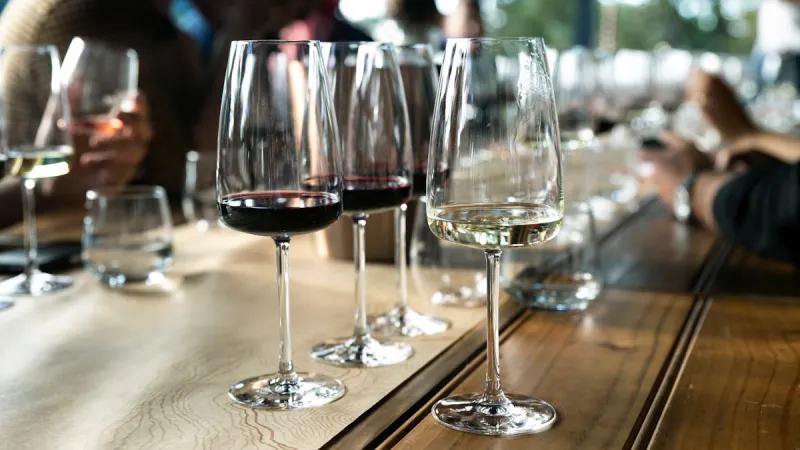 Your Guide to the 2026 East Texas Wine Tour Card