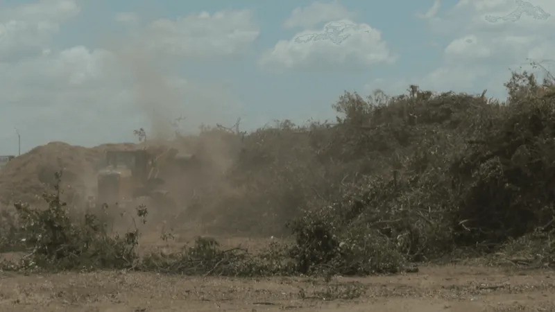 Abilene Brush Center extends weekend hours following severe weather