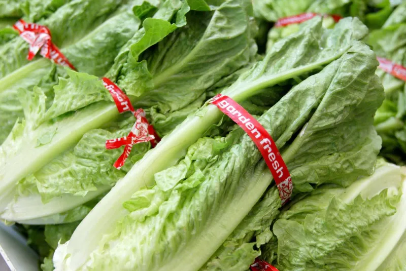 Texas Cyclospora Outbreak Now Linked to More Than Just Produce