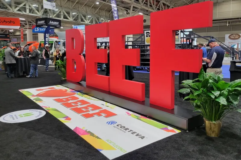 USDA Beef Export Correction Highlights Market Data Importance