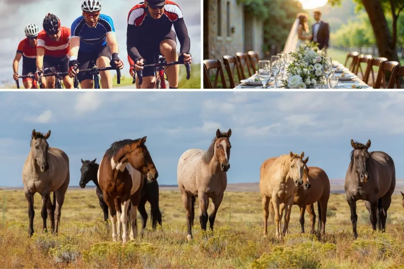 12 Things To Do Around East Texas This Weekend - July 18
