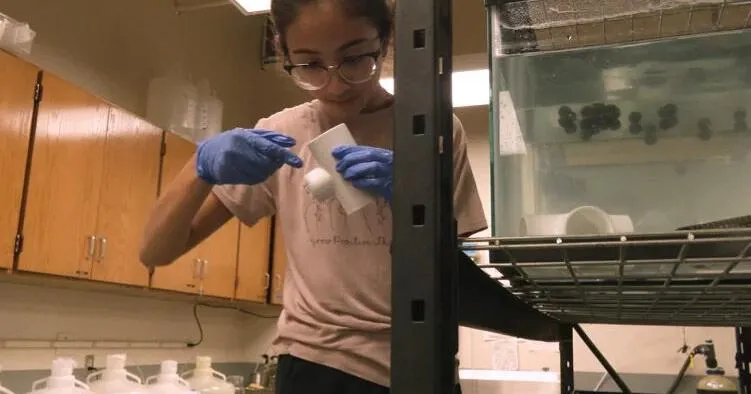 Lab coats before graduation: Texas Academy of Mathematics and Science students take on research at UNT