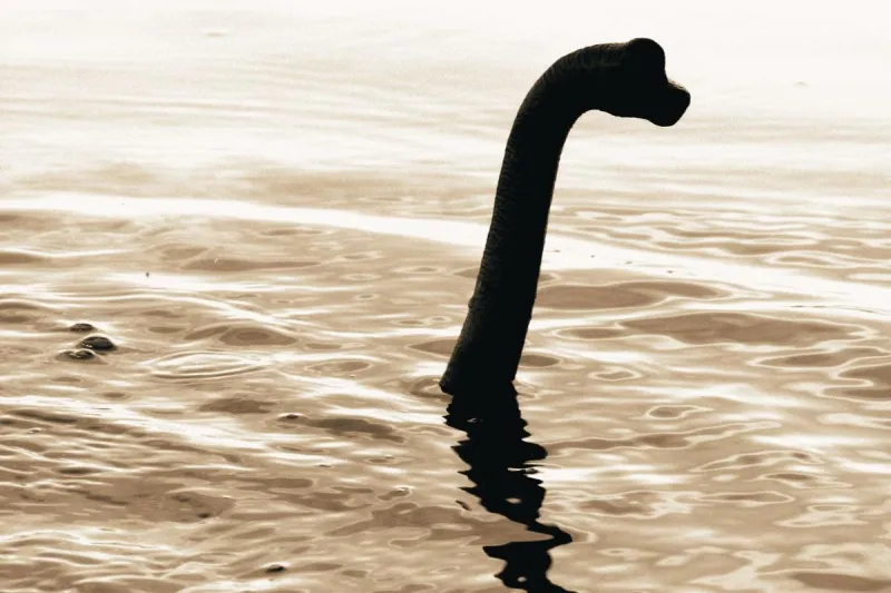 Is There a Monster Lurking in Caddo Lake, Louisiana?