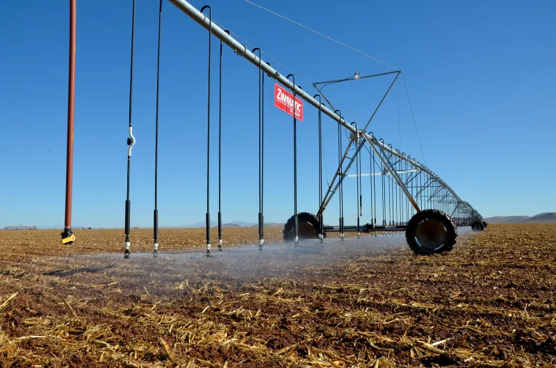 Higher Fuel Prices Raise Irrigation Costs Across Crops