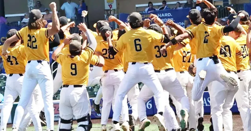 Bulldogs earn ABCA Academic Excellence Award