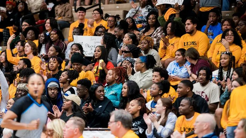 All Lions All-In Pass for 2026-27 academic year now on sale