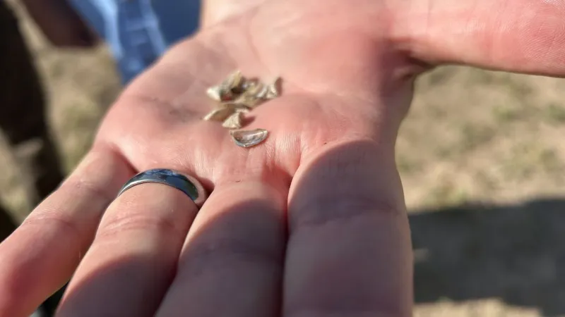 CRMWA, Texas Parks & Wildlife develop plans to curb zebra mussel spread in Canadian River