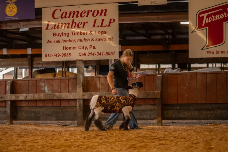 Southwest Oklahoma County Fairs, Dates, And Locations For 2026