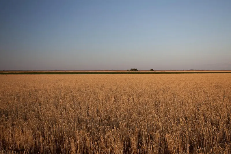 How Is Lubbock Life Shaped By Our Place On The Caprock?