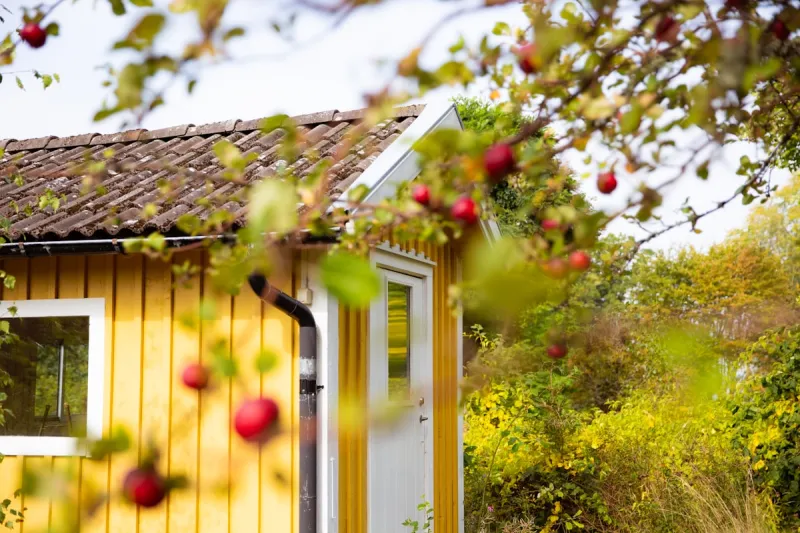 10 Tips To Prepare Your Lubbock Home For Fall