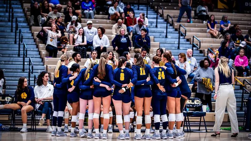 Lion Volleyball announces single match ticket on sale