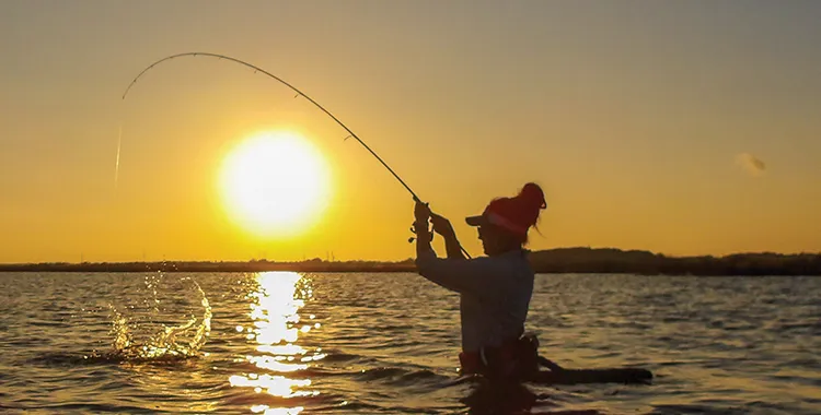 Beat the Heat for Quality Catches