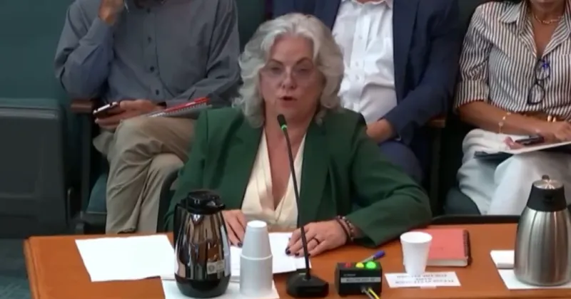 Matagorda advocate Donna Howard urges senators to reconsider data center incentives