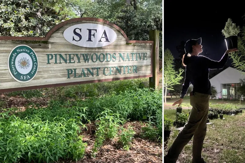 SFA Gardens Announces Official Date for 2026 Fall Plant Sale