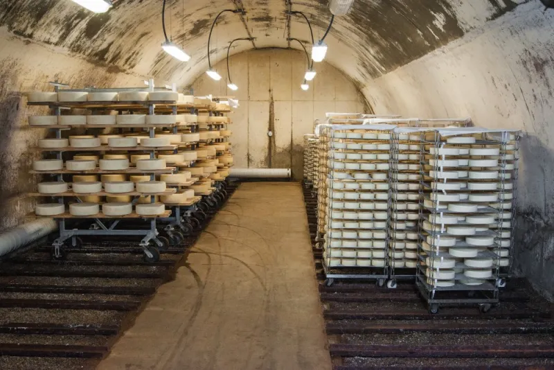 U.S. Dairy Exports Surge As Milkfat Markets Expand