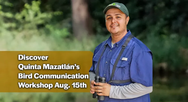 Discover the Secret Language of Birds at Quinta Mazatln, Aug. 15th