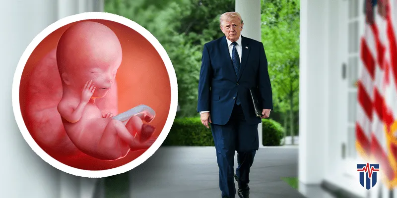Frozen Embryos Are Children, Trump Admin Says