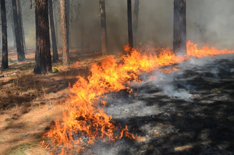 What's A Red Flag Warning And Why Are They So Important in West Texas?