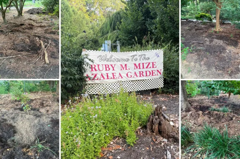 Photos Capture Wild Hog Damage at SFA Gardens