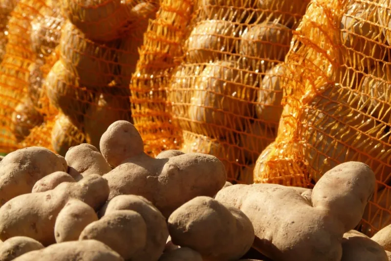 Falling Potato Values Bring Limited Relief To Consumers