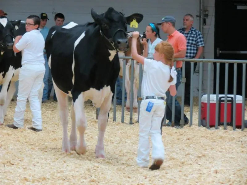 What To Expect At The Comanche County Fair In Lawton