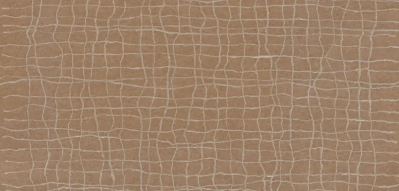 Paper, Skin, Shadow: Exploring Fragility at the Menil Drawing Institute