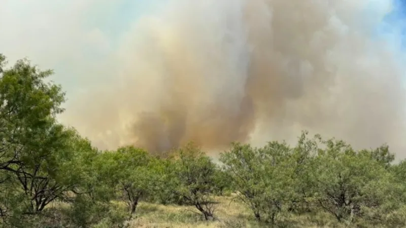 Wildfire spreads north of Breckenridge, prompting emergency declaration in Stephens County