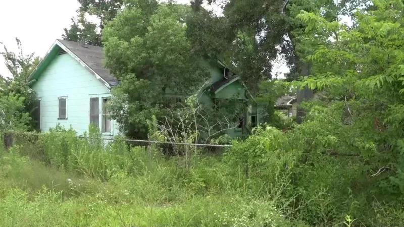 Neighbors say after years, city needs to act on abandoned, overgrown property