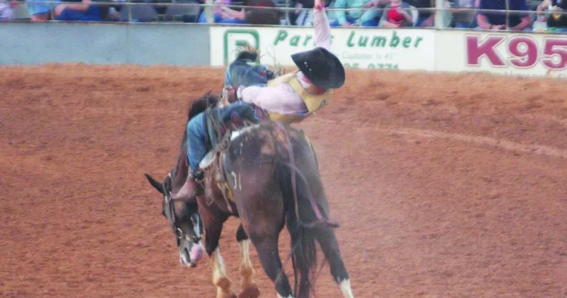 Cashing in at the Paris Rodeo: Winners crowned during 67th annual running of the event