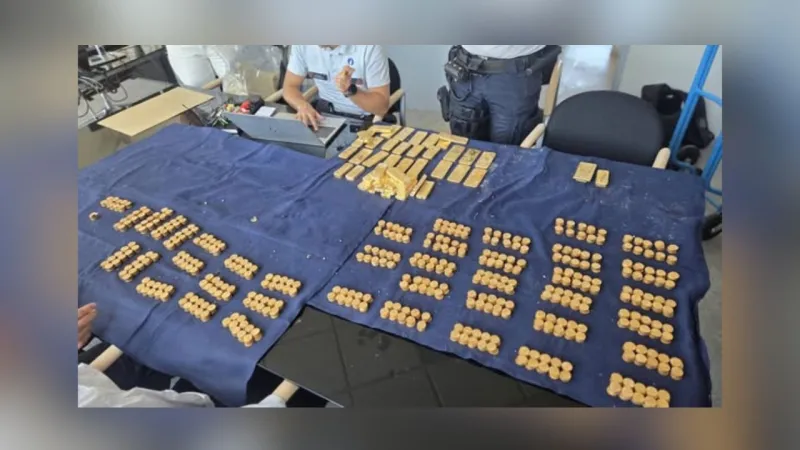 9 Million In Gold Coins And Bars Discovered During Belgium Building Renovation