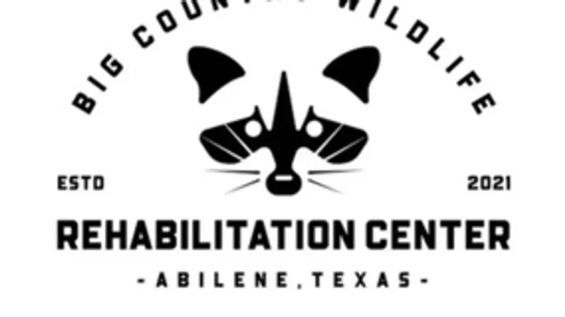 Big Country Wildlife Rehabilitation Center clears 2025 rescue total, seeks donations