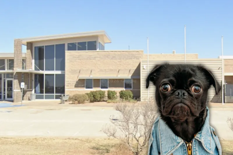 Lubbock Animal Services Is Clearing The Shelter This Week