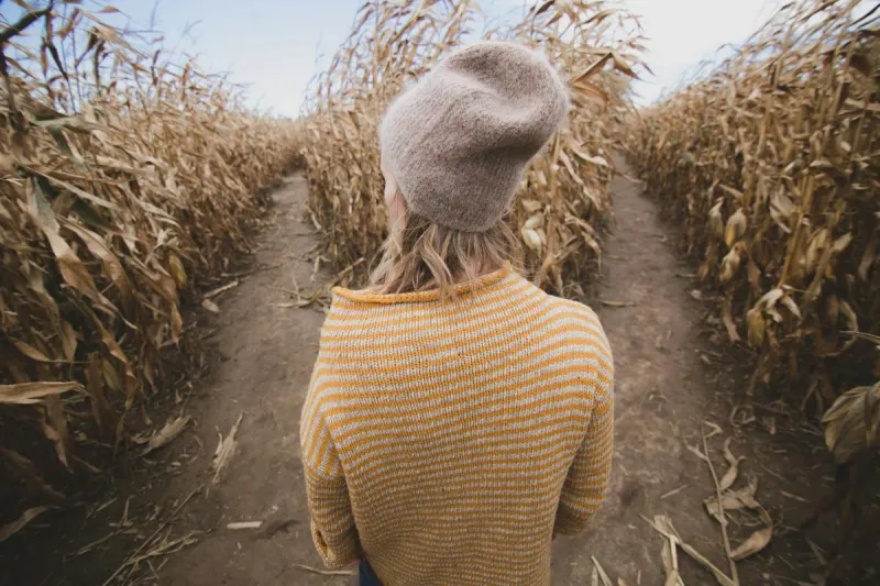 The Ultimate Guide to At'l Do Farms' 2026 Corn Maze