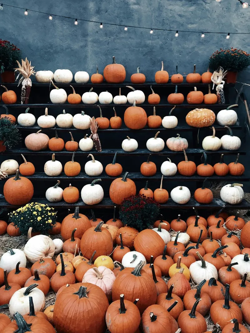 Your Guide To Lubbock's Halloween Events And Fall Fun In 2026