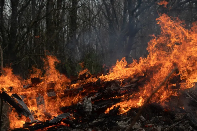 Every Deep East Texas County Is Now Under A Burn Ban Amid Brutal Heat